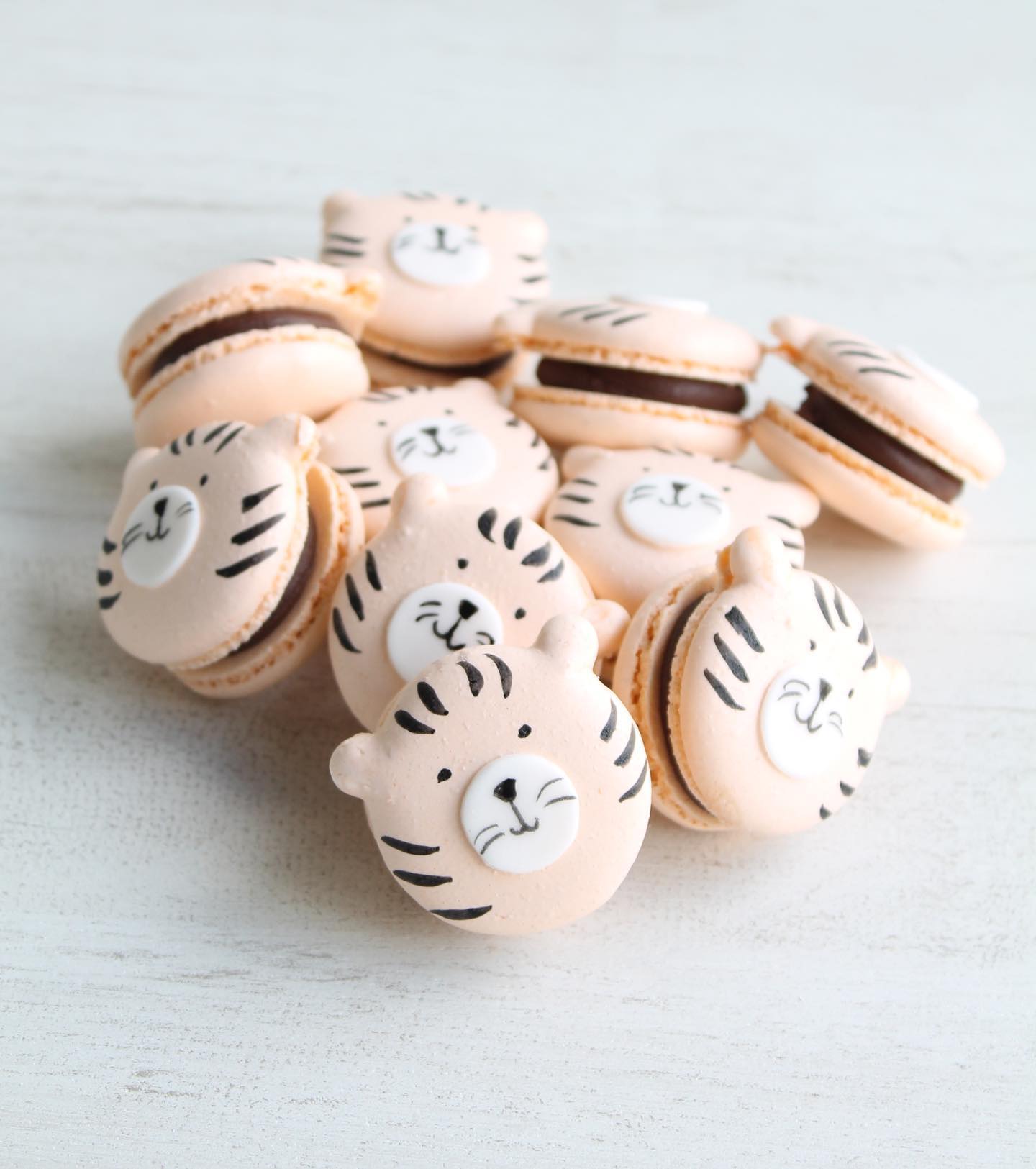 Tiger Macarons